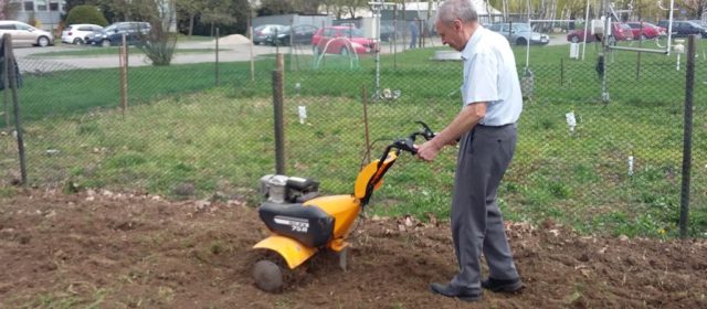 Test-site preparation for biochar experiment