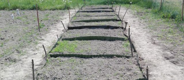 Adding fences to biochar test-sites