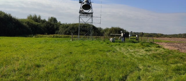 Measurements on Bubnow Wetland