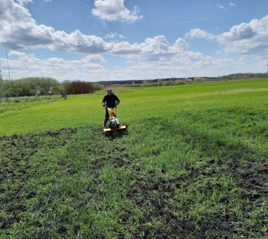 Biochar delivery to the Sęków test-site